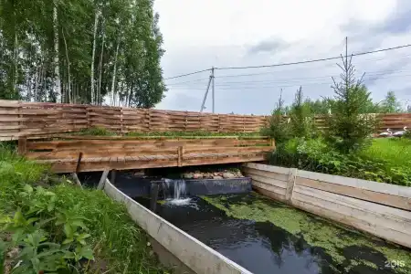 Берёзовая роща - 106