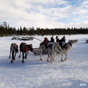 Арктик Хоум - 69