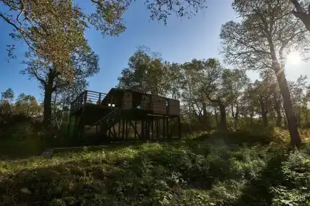 Kamchatka Forest Lodge - 24