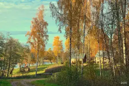 Изба на Опушке - Хутор Пралище - 25