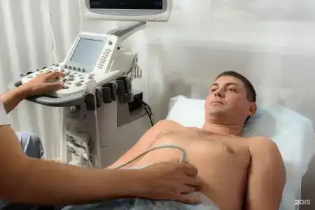 Алтайский Замок+ - 146