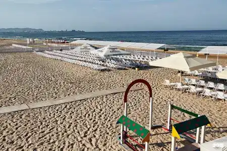 MARSEALAN - 5