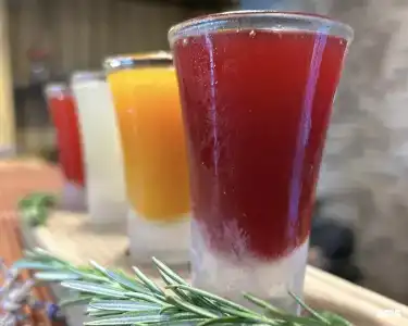 Дон Кихот - 22