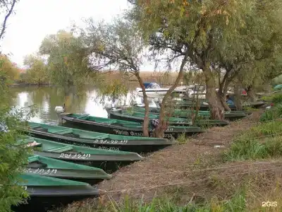 Найт Флайт Дельта - 20