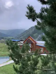 Белый марал - 10