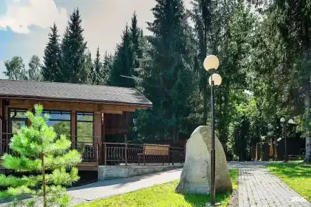 Лесовичок - 31