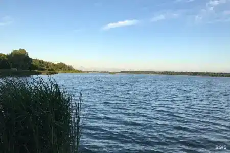 Белая Цапля - 39