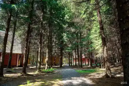 Лесовичок - 37