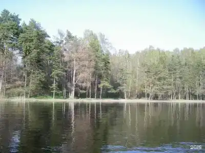 Шишки - 34