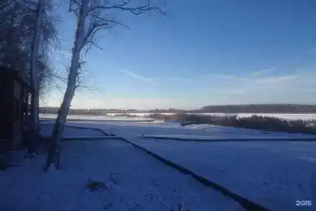Белая Цапля - 60