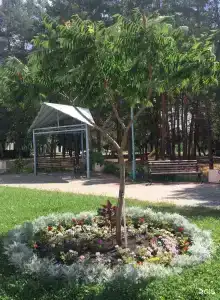 Вешенский - 20