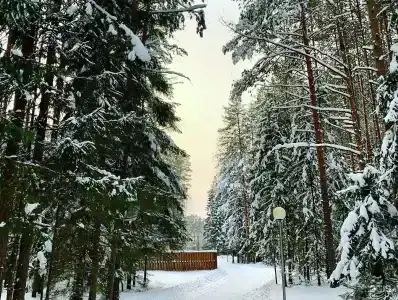 Ува - 12