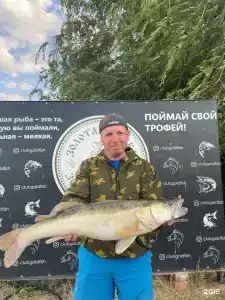 Клуб Золотая Рыбка - 100
