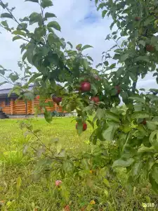 Большой камень - 59