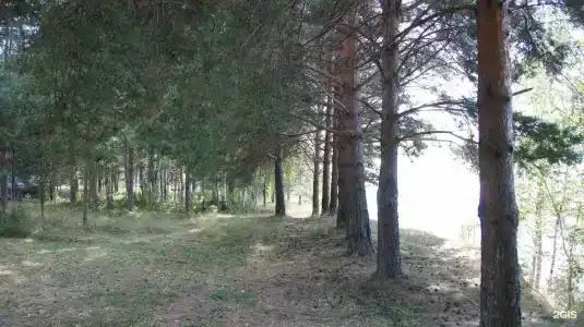 Легково - 30