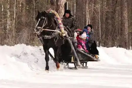 Салют - 54