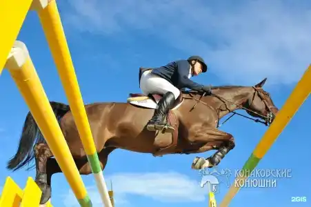Загородный отель Konakoff в Сажино - 35
