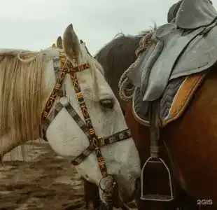 Камчатка Шале - 59