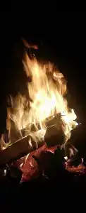 Отдых на Оке - 87