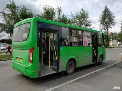 Сова - 50