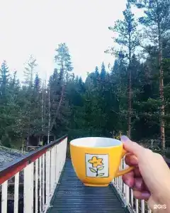 Хекселя - 87