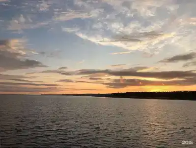 Кедр Грасс Белое Море - 114