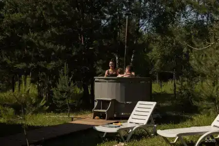 Дыши лесом - 29