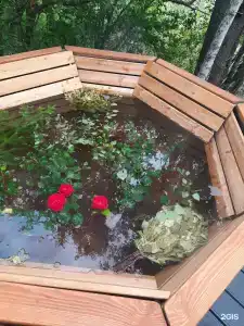 Ботхаус - 41