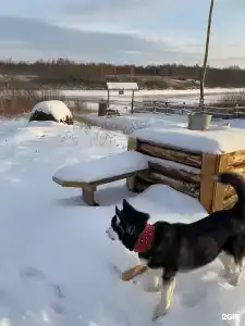 Гостевой Дом Советов на Вазузе - 14