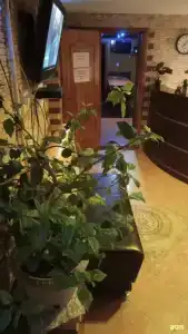 Мини-гостиница Азалия - 9