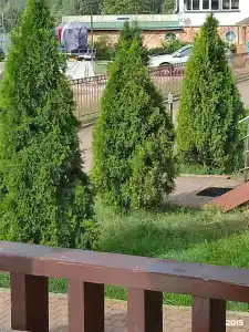 Подборовье - 12
