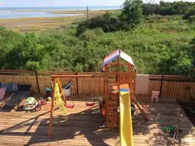 Совы - 8