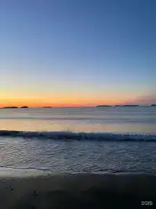 Красный кот - 53