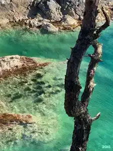 Красный кот - 26