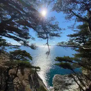 Красный кот - 16