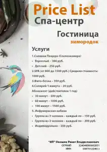 Зимородок - 13