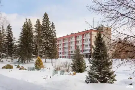Сосновый бор - 44