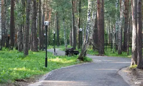 Сибиряк - 82