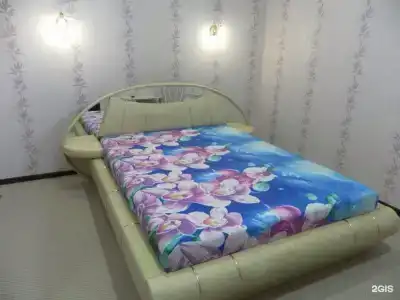 Дельфин - 2