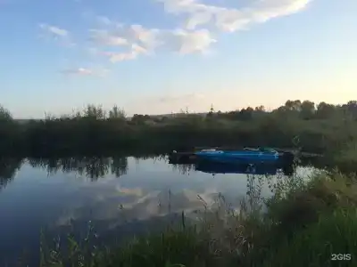 Чайка - 20