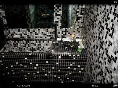 Blackberry - 66