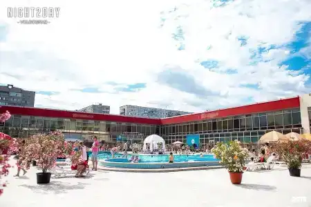 Ной - 51