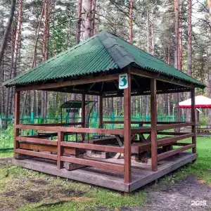 Лесные дали - 63