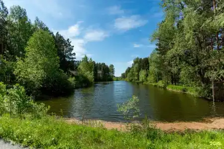 Пурга - 19