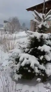 Восток - 28