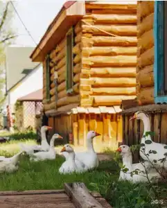 Летучая Рыба - 43