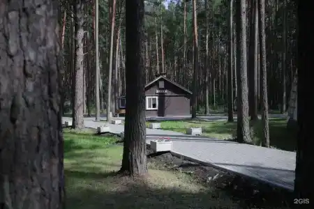 ДухЛес - 75