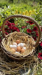 Ланьдиво - 66