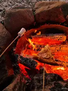 Пара Альпак - 1