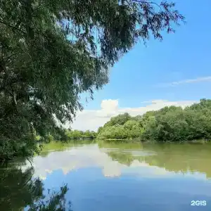 Скворечник - 2